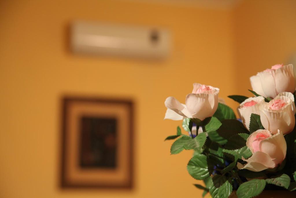B&B Villa Casablanca Enna Eksteriør billede